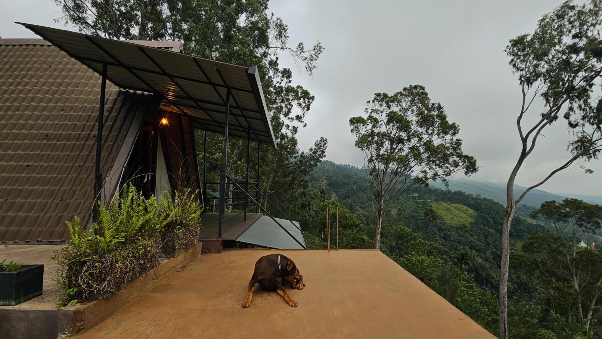 The Backyard Balangoda Extérieur photo